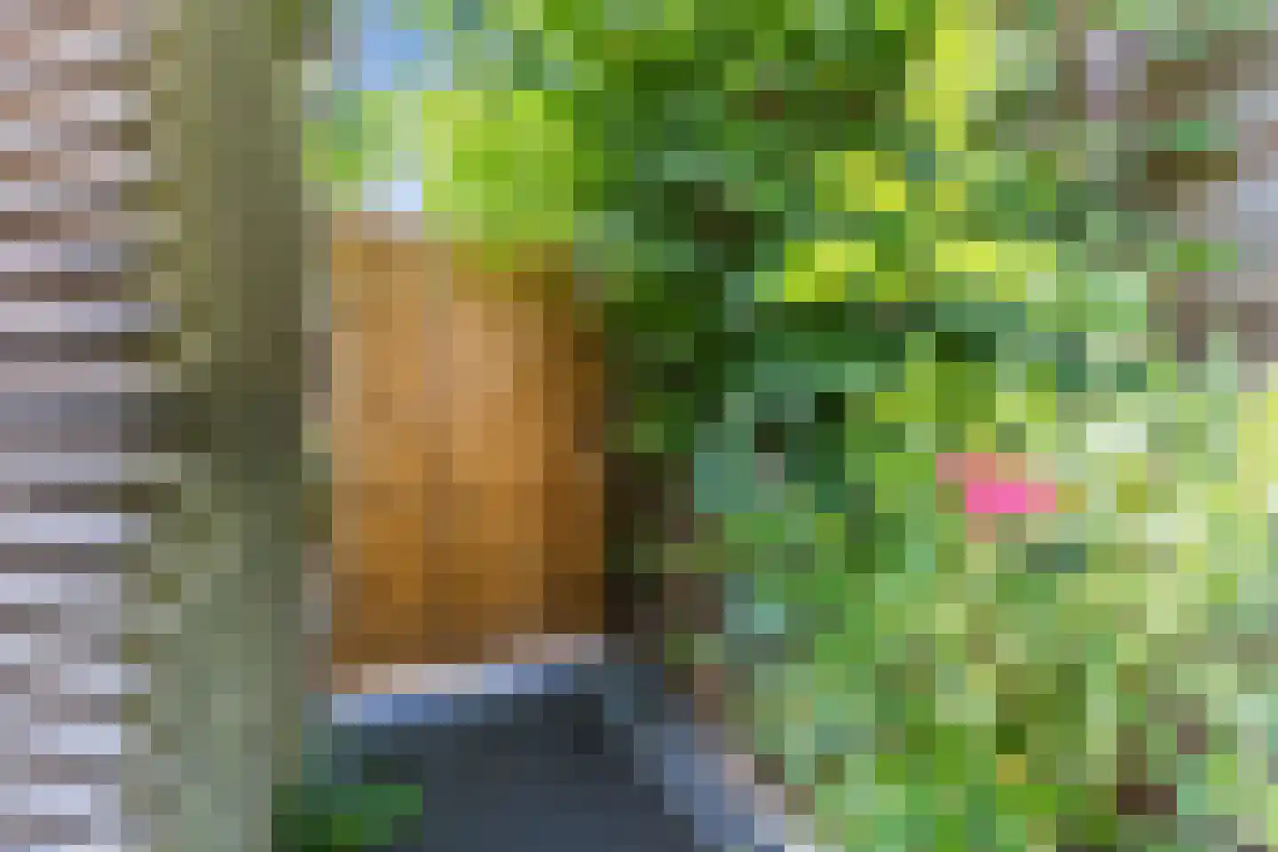 Walter Kollolaan 212 Utrecht thumbnail 18