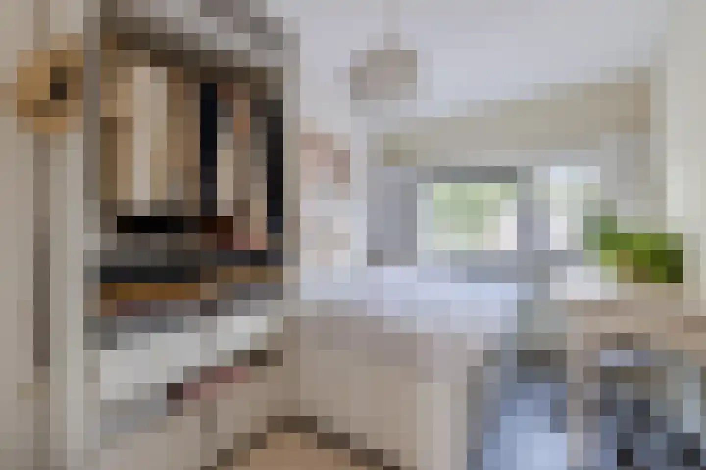 Walter Kollolaan 212 Utrecht thumbnail 30