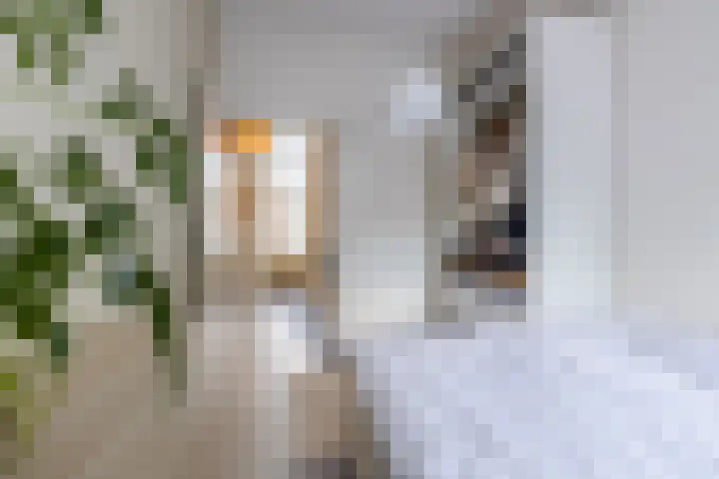 Walter Kollolaan 212 Utrecht thumbnail 32