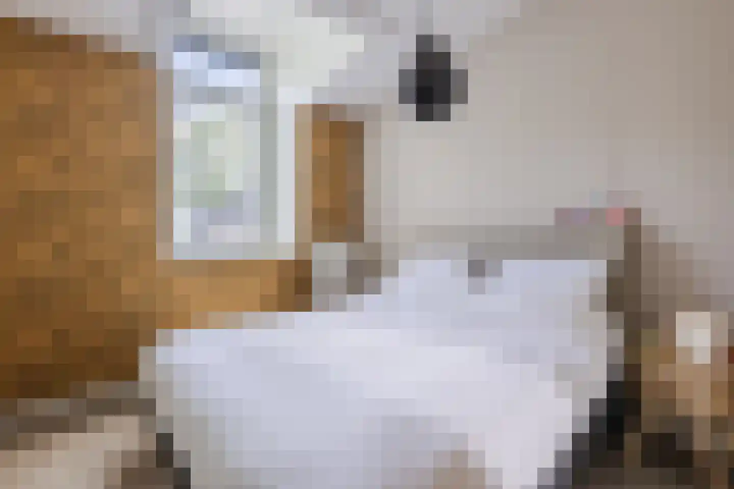 Walter Kollolaan 212 Utrecht thumbnail 33