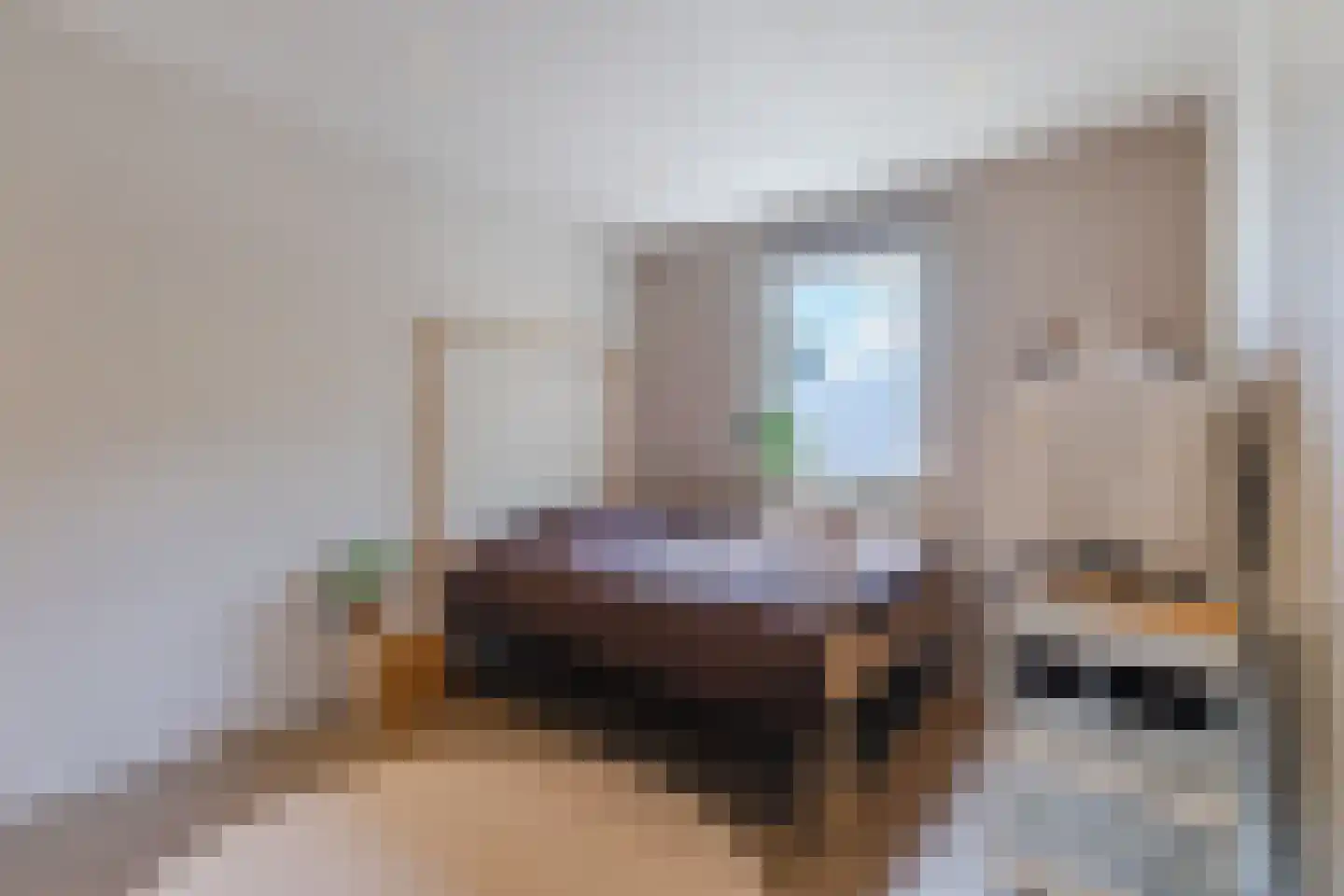 Walter Kollolaan 212 Utrecht thumbnail 40