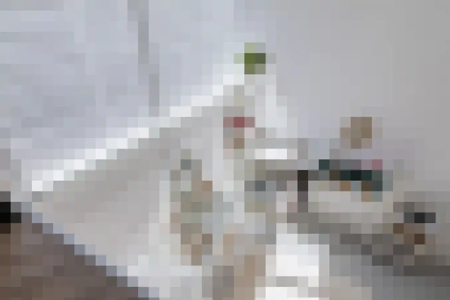 Walter Kollolaan 212 Utrecht thumbnail 47