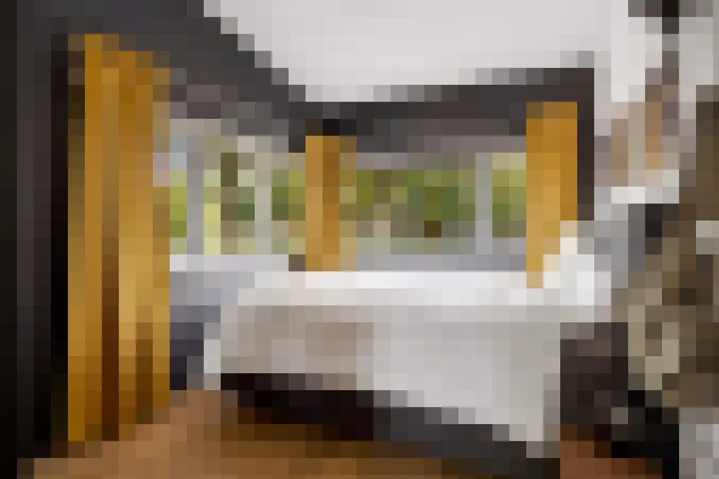 Walter Kollolaan 220 Utrecht thumbnail 26