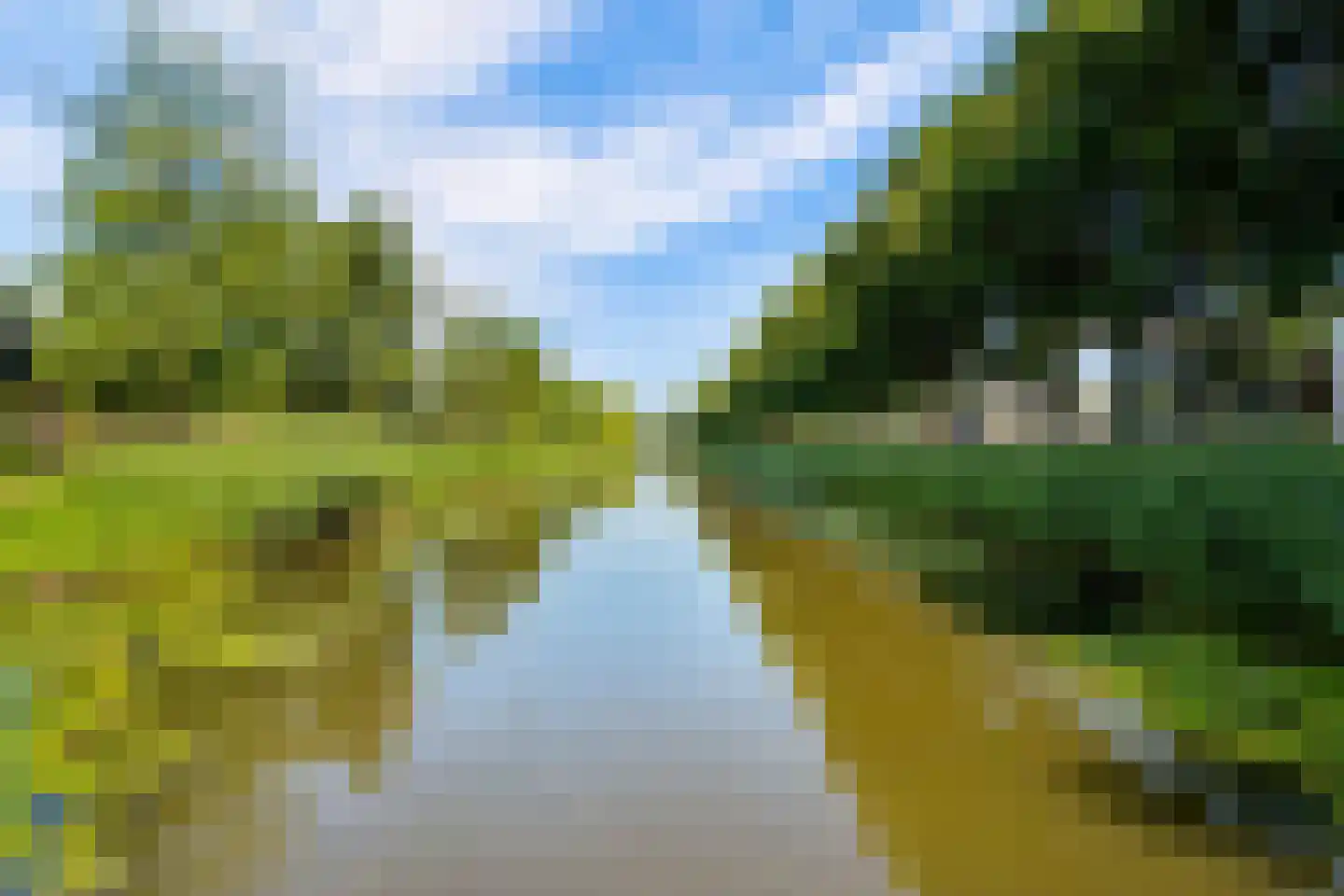 Walter Kollolaan 220 Utrecht thumbnail 45