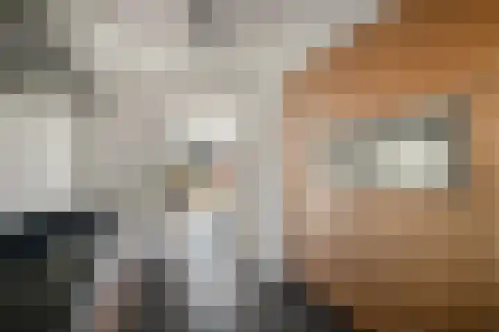 Walter Pompelaantje 2 Lith thumbnail 15