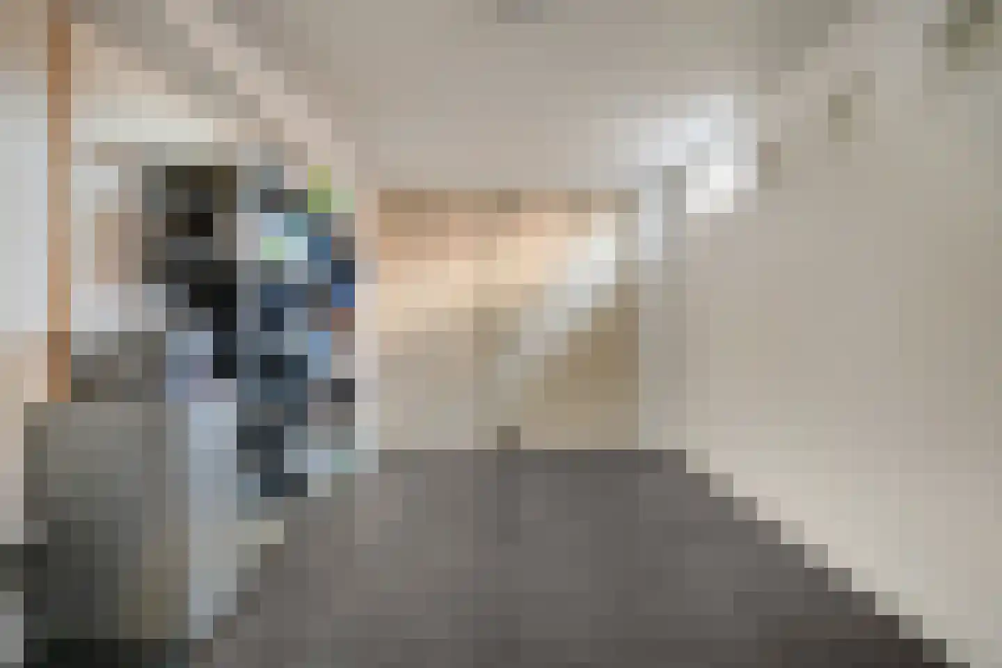 Walter Pompelaantje 2 Lith thumbnail 17