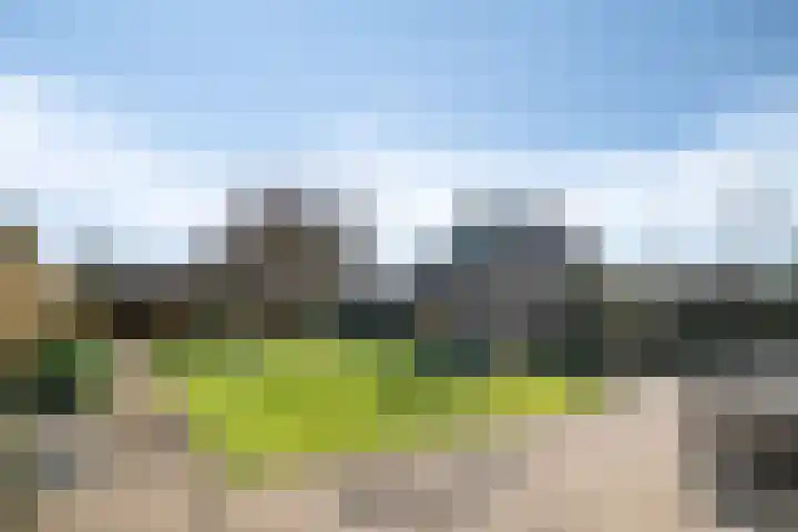 Walter Pompelaantje 2 Lith thumbnail 19