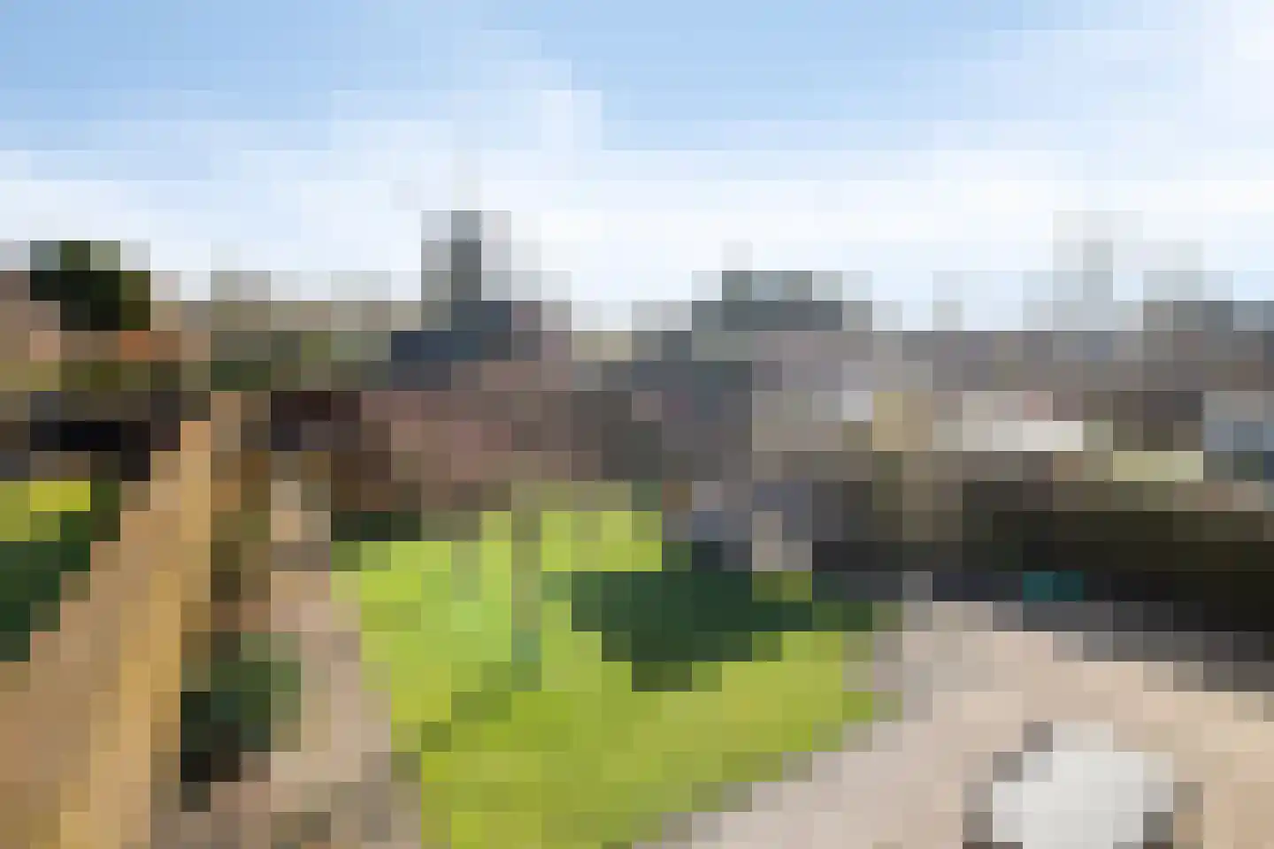 Walter Pompelaantje 2 Lith thumbnail 19