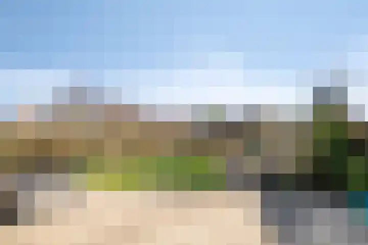 Walter Pompelaantje 2 Lith thumbnail 20