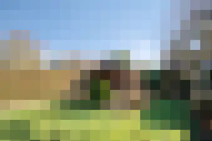 Walter Pompelaantje 2 Lith thumbnail 23