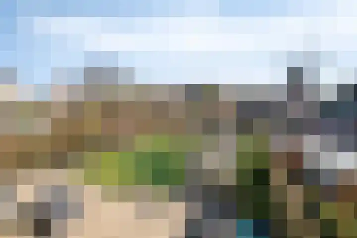 Walter Pompelaantje 2 Lith thumbnail 28