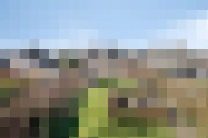 Walter Pompelaantje 2 Lith thumbnail 29