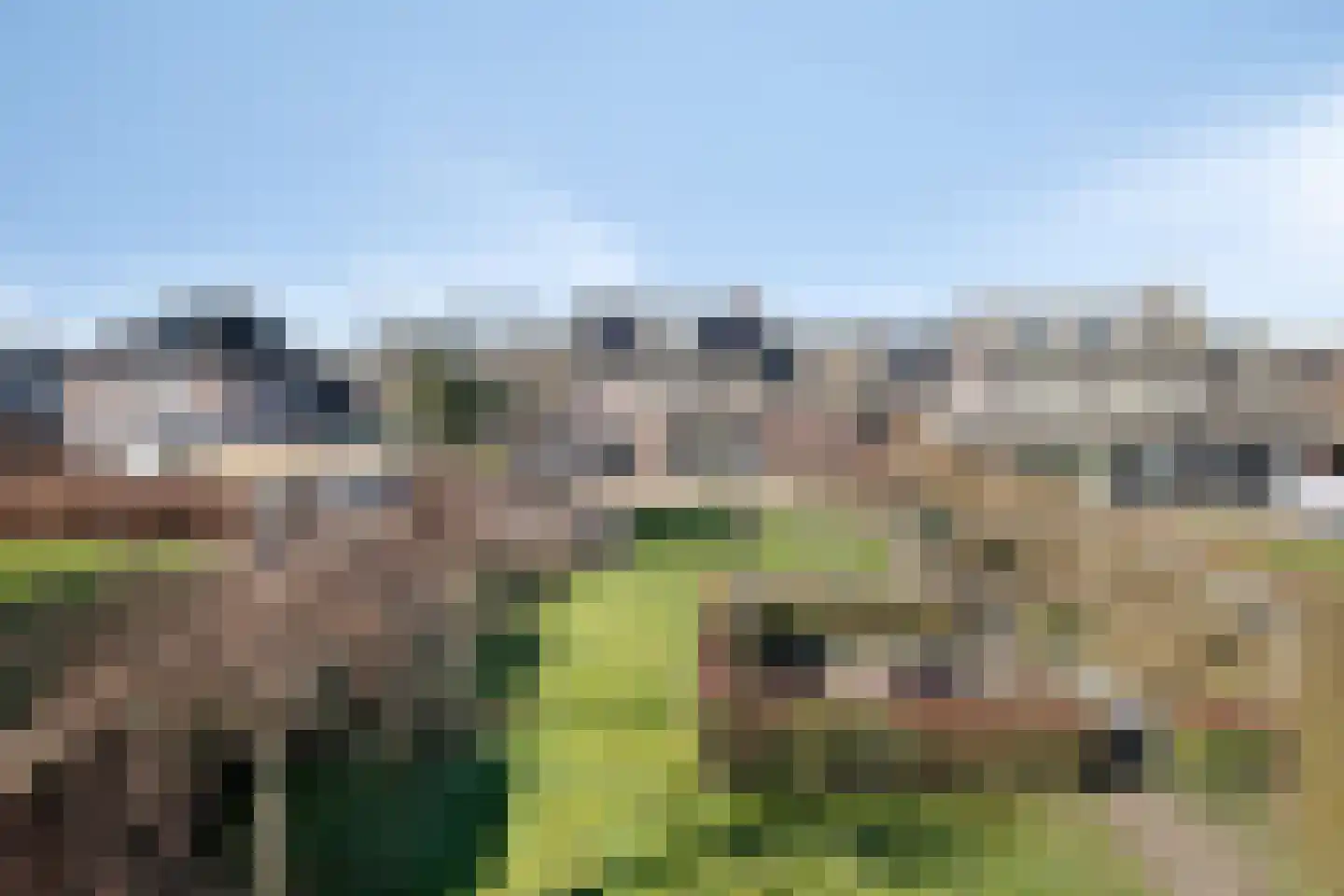 Walter Pompelaantje 2 Lith thumbnail 29