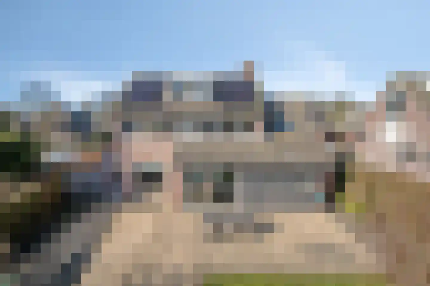 Walter Pompelaantje 2 Lith thumbnail 30