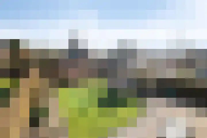 Walter Pompelaantje 2 Lith thumbnail 4