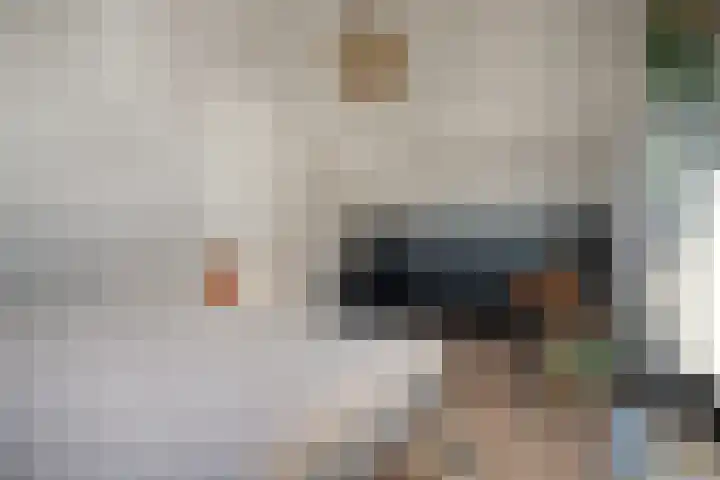 Walter Pompelaantje 2 Lith thumbnail 41