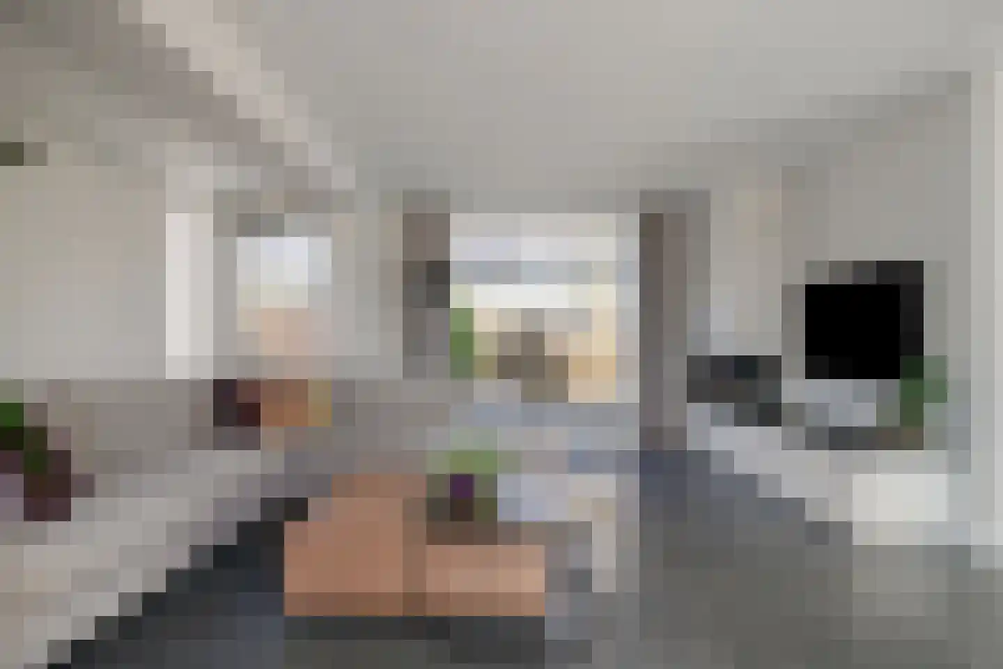 Walter Pompelaantje 2 Lith thumbnail 7
