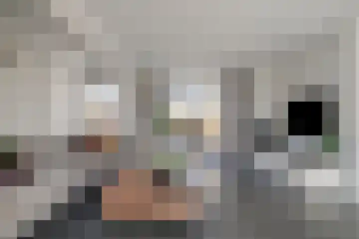 Walter Pompelaantje 2 Lith thumbnail 8