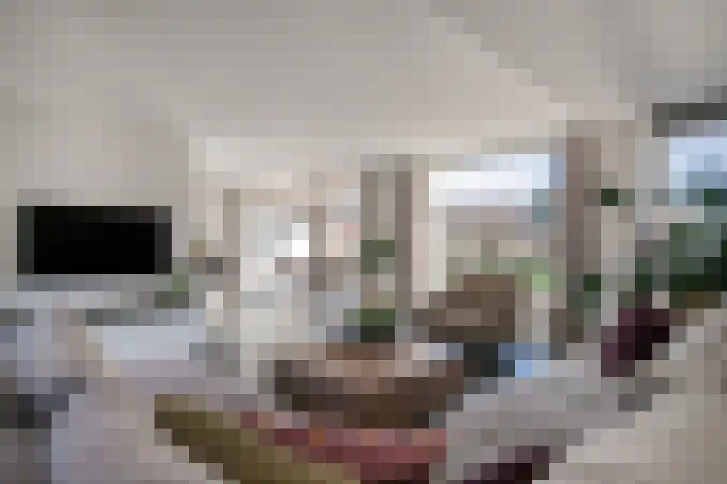 Walter Pompelaantje 2 Lith thumbnail 9