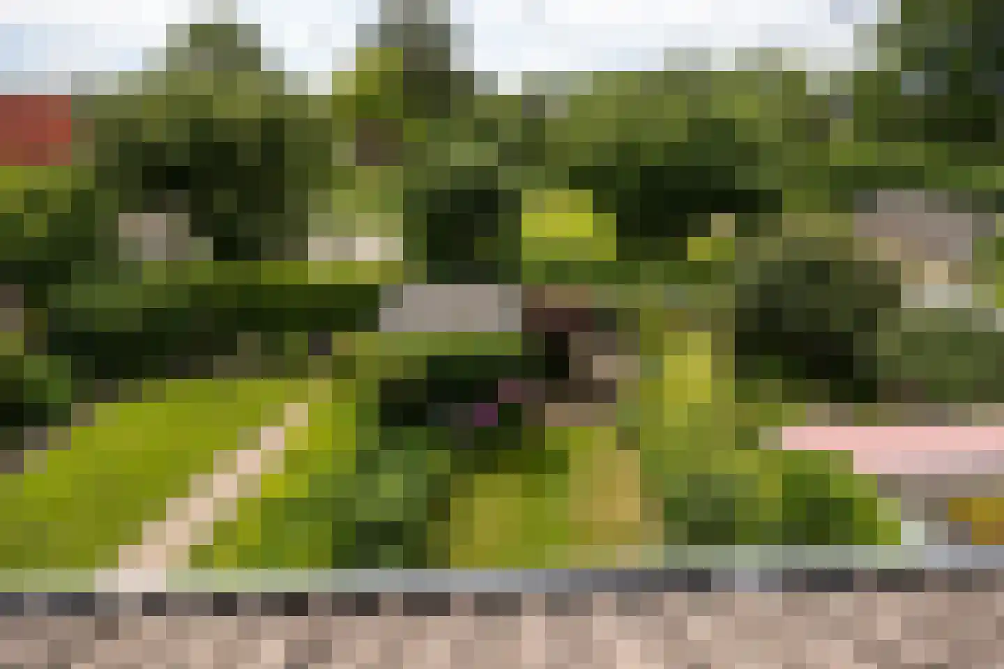 Walter van Amersfoortstraat 32 Achterveld thumbnail 31