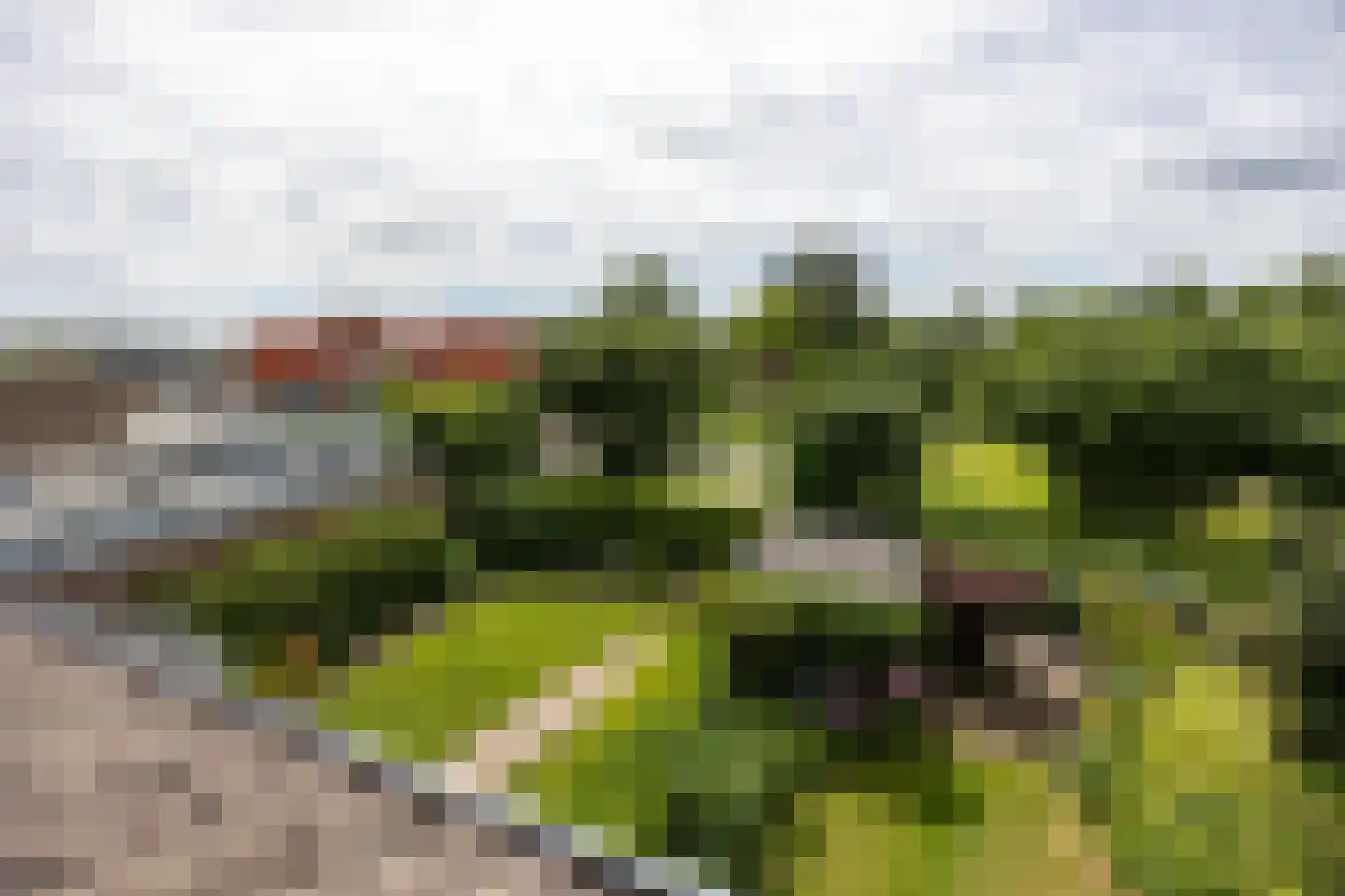 Walter van Amersfoortstraat 32 Achterveld thumbnail 32