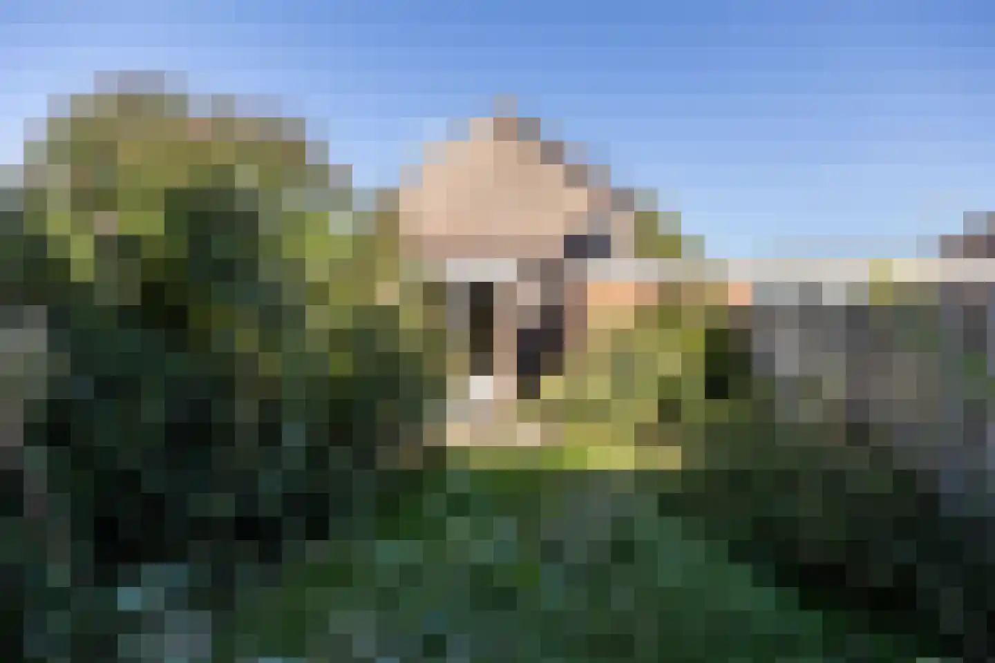 Walter van Amersfoortstraat 37 Achterveld thumbnail 31