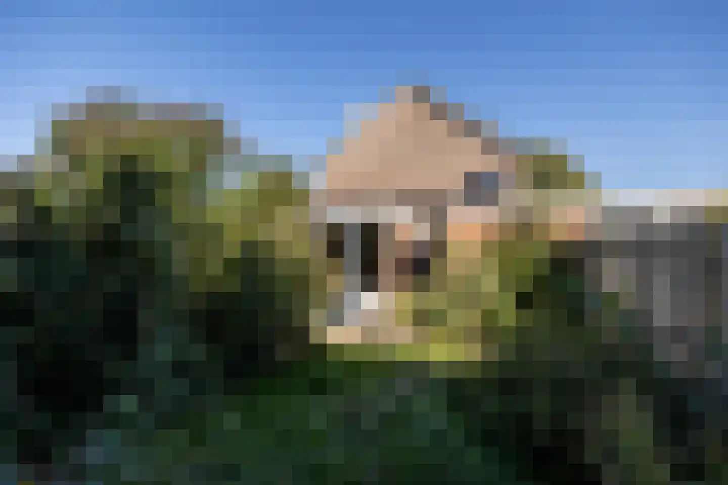 Walter van Amersfoortstraat 37 Achterveld thumbnail 32