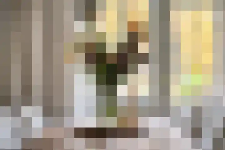 Waltersingel 14 Apeldoorn thumbnail 12