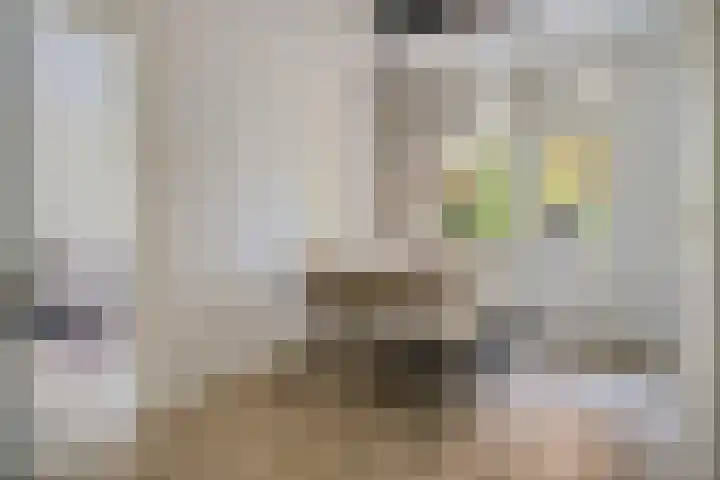 Waltersingel 14 Apeldoorn thumbnail 14