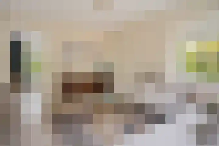 Waltersingel 14 Apeldoorn thumbnail 15