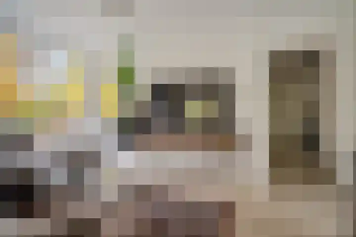 Waltersingel 14 Apeldoorn thumbnail 17