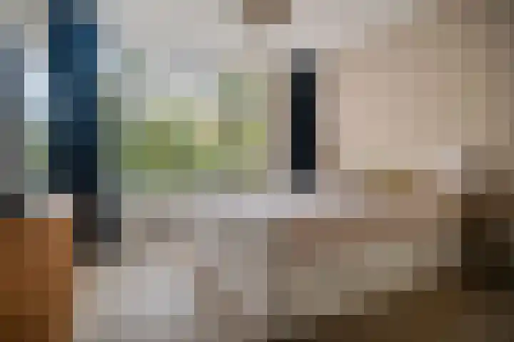 Waltersingel 14 Apeldoorn thumbnail 18