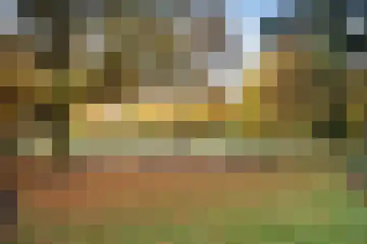 Waltersingel 14 Apeldoorn thumbnail 29