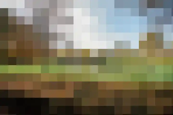 Waltersingel 14 Apeldoorn thumbnail 30