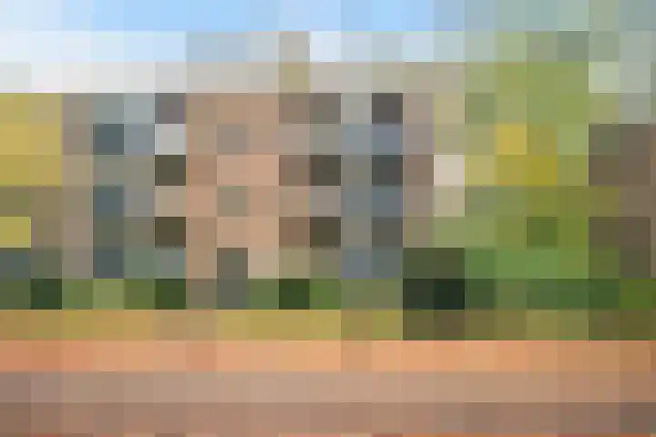 Waltersingel 14 Apeldoorn thumbnail 37
