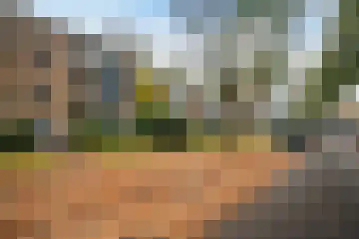 Waltersingel 14 Apeldoorn thumbnail 38