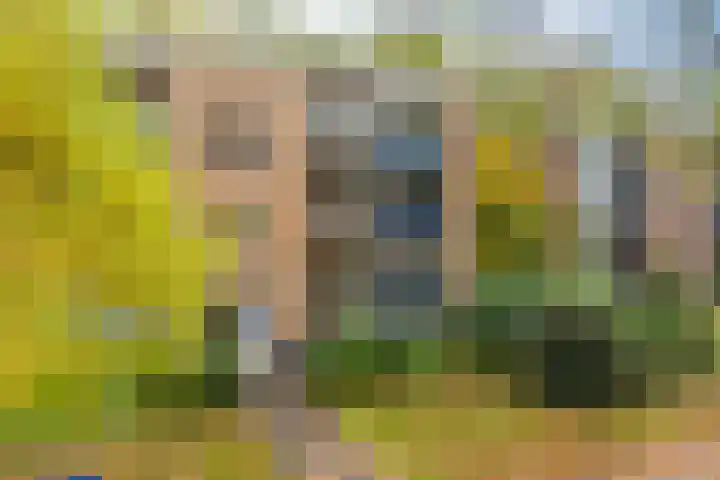 Waltersingel 14 Apeldoorn thumbnail 4