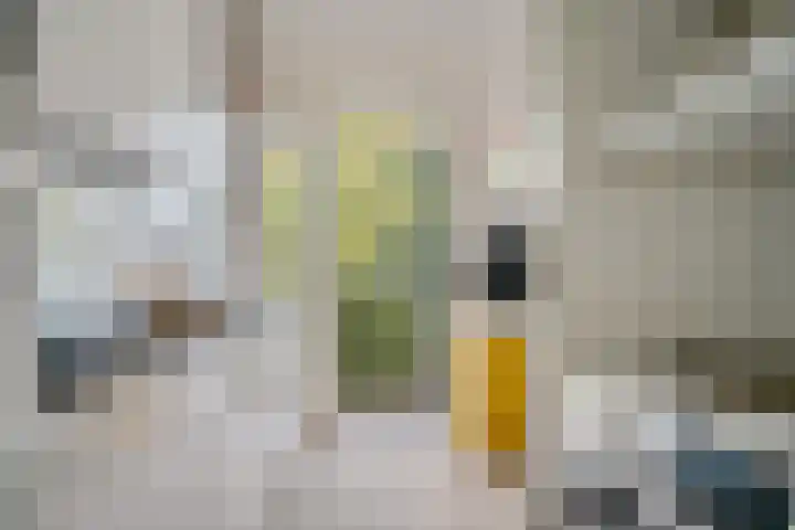 Waltersingel 14 Apeldoorn thumbnail 8