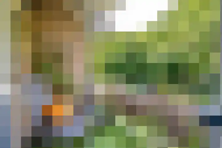 Waltersingel 16 A Apeldoorn thumbnail 14
