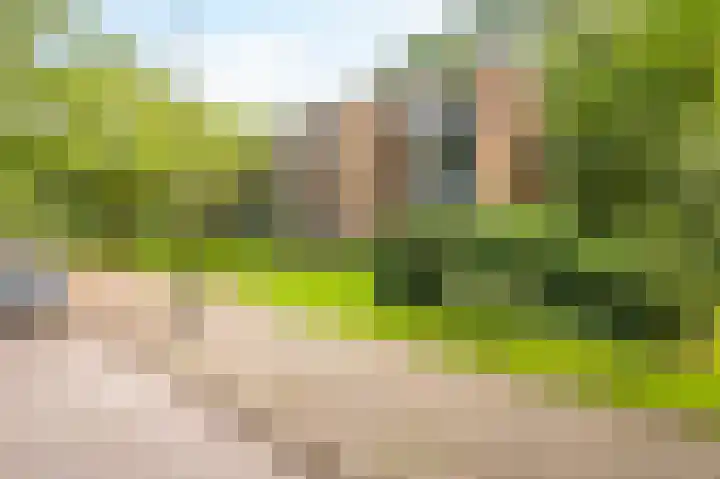 Waltersingel 16 A Apeldoorn thumbnail 18