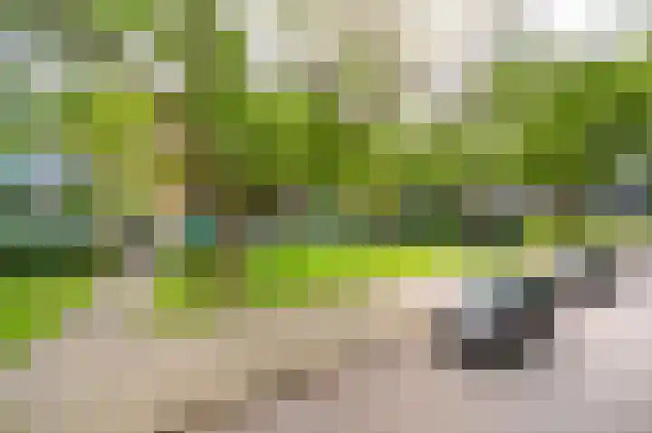 Waltersingel 16 A Apeldoorn thumbnail 21