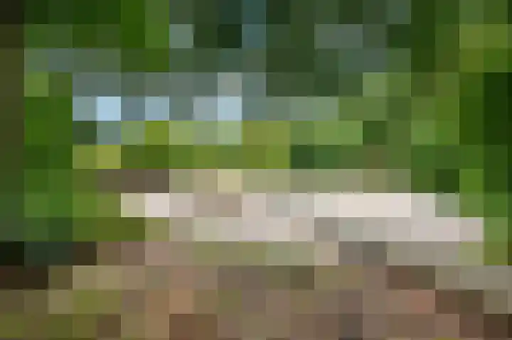 Waltersingel 16 A Apeldoorn thumbnail 22