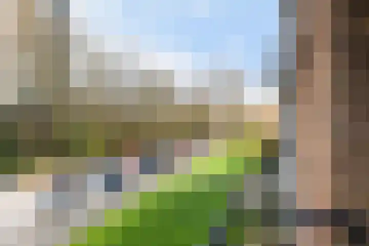 Waltersingel 2 A Apeldoorn thumbnail 20