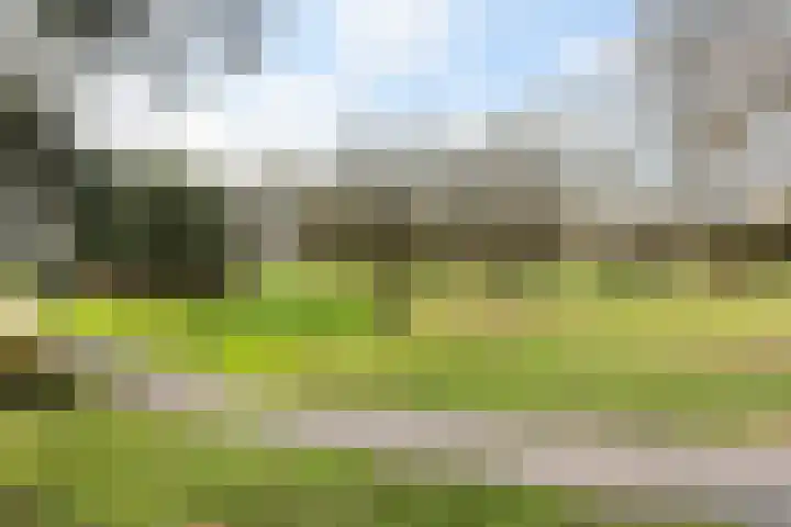 Waltersingel 2 A Apeldoorn thumbnail 23