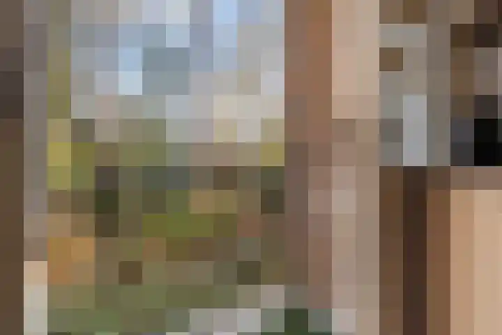 Waltersingel 20 Apeldoorn thumbnail 22