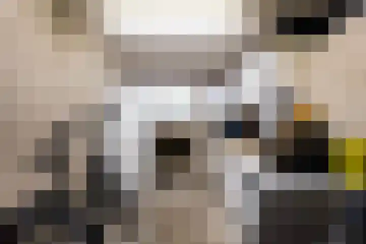 Waltersingel 20 Apeldoorn thumbnail 29