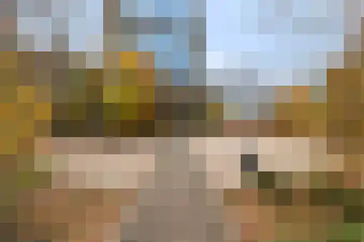Waltersingel 20 Apeldoorn thumbnail 31