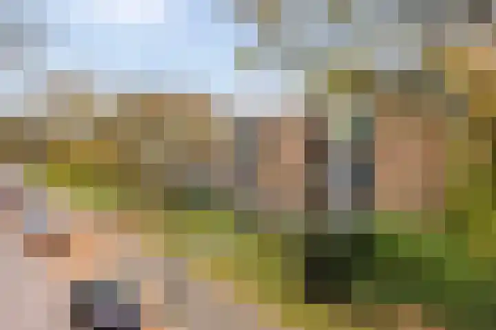 Waltersingel 20 Apeldoorn thumbnail 33