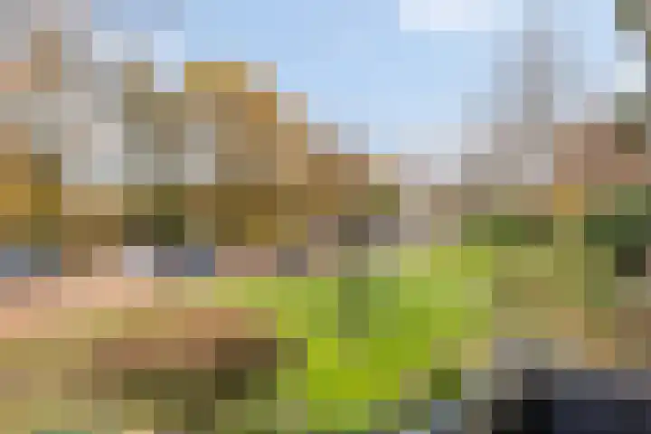 Waltersingel 20 Apeldoorn thumbnail 4