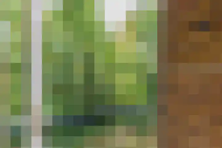 Waltersingel 24 Apeldoorn thumbnail 11